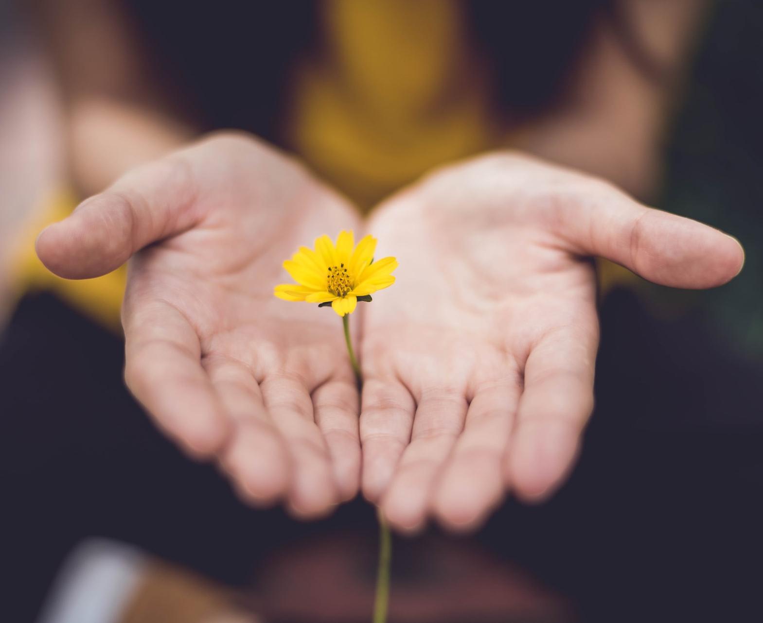 selective focus photography of woman holding yellow petaled flowers